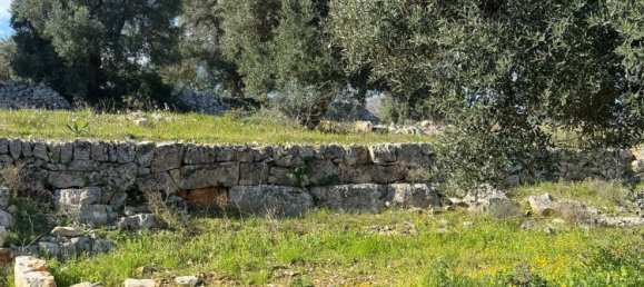 Studio in Monopoli, Italy No. 39610 6