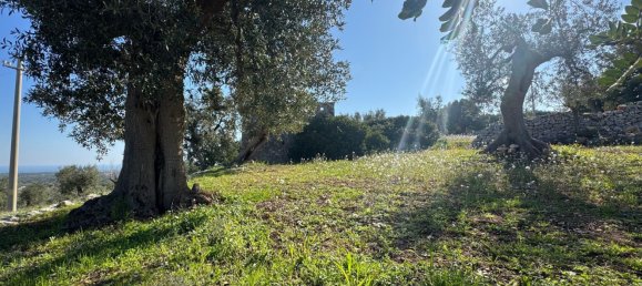 Studio in Monopoli, Italy No. 39610 46