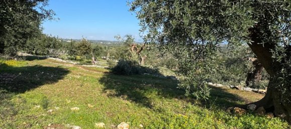 Studio in Monopoli, Italy No. 39610 8