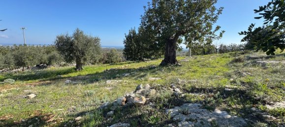 Studio in Monopoli, Italy No. 39610 37