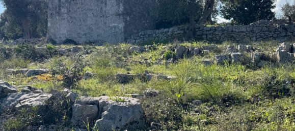 Studio in Monopoli, Italy No. 39610 21