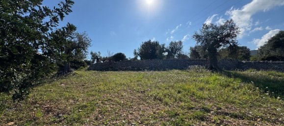 Studio in Monopoli, Italy No. 39610 41