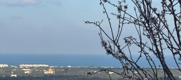 Studio in Monopoli, Italy No. 39610 22