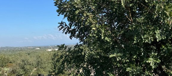 Studio in Monopoli, Italy No. 39610 3