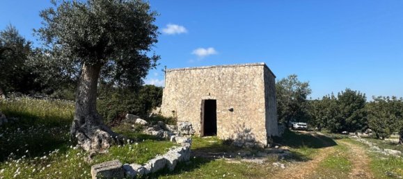 Studio in Monopoli, Italy No. 39610 19
