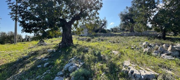 Studio in Monopoli, Italy No. 39610 36