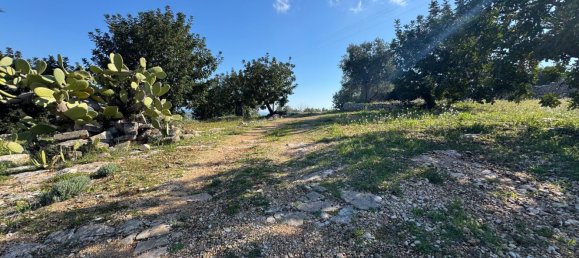 Studio in Monopoli, Italy No. 39610 40