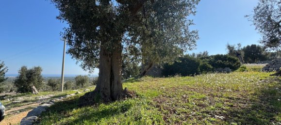 Studio in Monopoli, Italy No. 39610 45