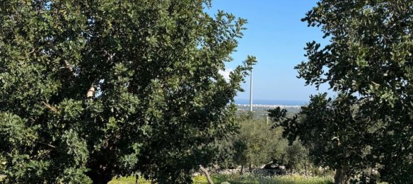 Studio in Monopoli, Italy No. 39610 43