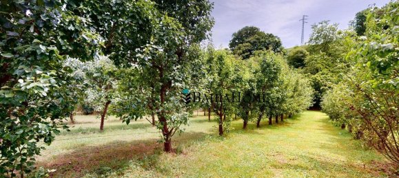 5 bedrooms House in Cantabria, Spain No. 154403 12