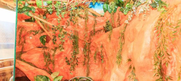 6-Zimmer Gebäude in Hof, Germany, Nr. 131384 6