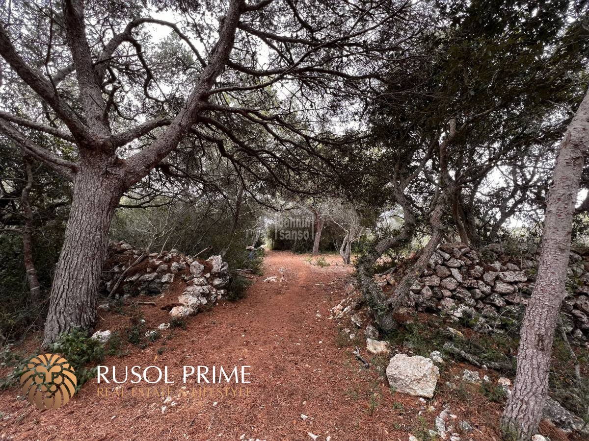  Land in Sant Lluis, Spain No. 5537