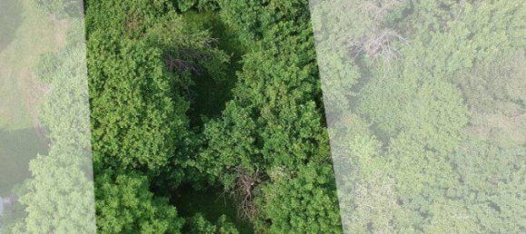 Grundstück in Döbling, Austria, Nr. 34438 2