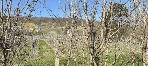 Grundstück in Döbling, Austria, Nr. 34438 8