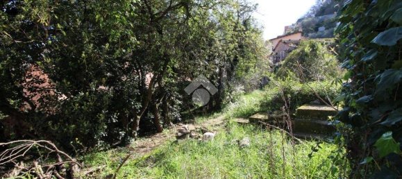 1 Schlafzimmer Haus in Chiavari, Italy, Nr. 38452 4