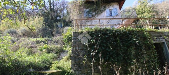 1 Schlafzimmer Haus in Chiavari, Italy, Nr. 38452 3