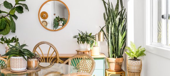 5 chambres Maison à Ocean Shores, Australia No. 168 21