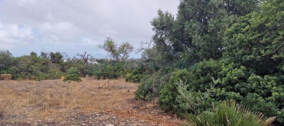 Grundstück in Loule, Portugal 20060m², Nr. 59961 5