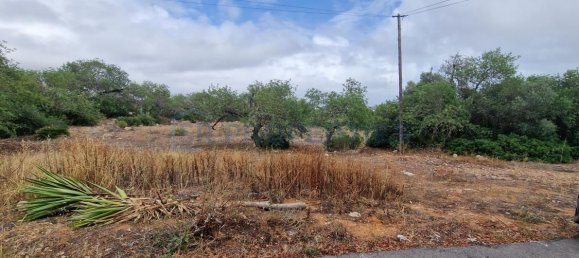 Grundstück in Loule, Portugal 20060m², Nr. 59961 6