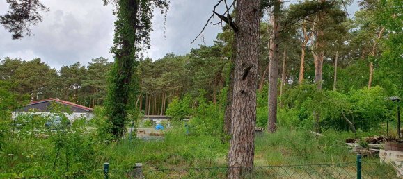 Land in Dahme-Spreewald, Germany No. 25983 6