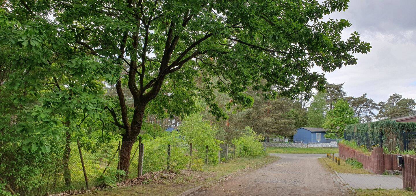  Land in Dahme-Spreewald, Germany No. 25983