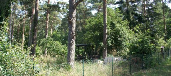 Land in Dahme-Spreewald, Germany No. 25983 3