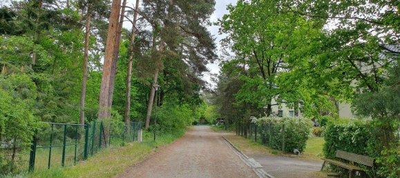 Land in Dahme-Spreewald, Germany No. 25983 8