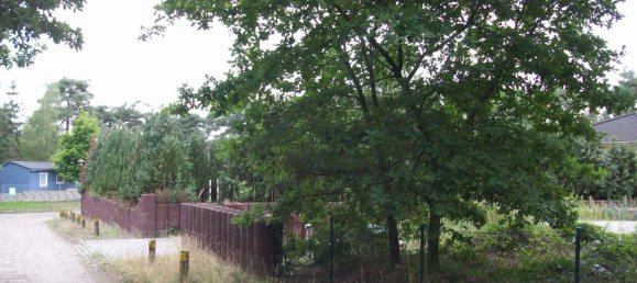 Land in Dahme-Spreewald, Germany No. 25983 4