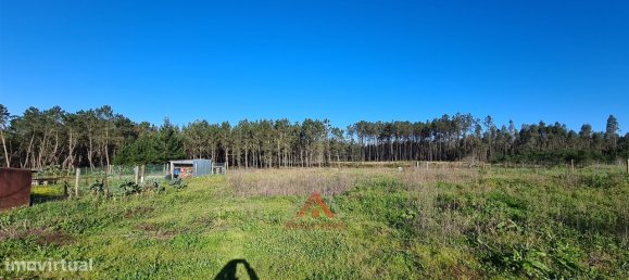 7 Schlafzimmer Haus in Leiria, Portugal, Nr. 152739 9