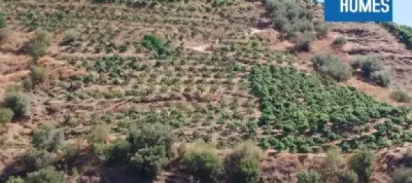 30000m² Land in Sayalonga, Spain No. 140209 6