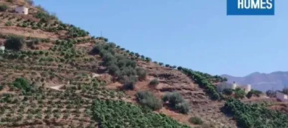 30000m² Land in Sayalonga, Spain No. 140209 9