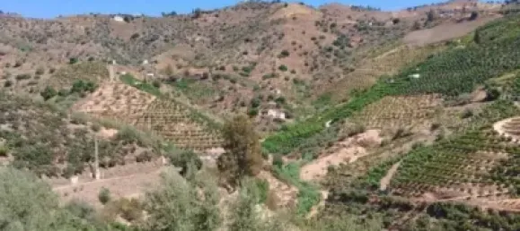 30000m² Land in Sayalonga, Spain No. 140209 14