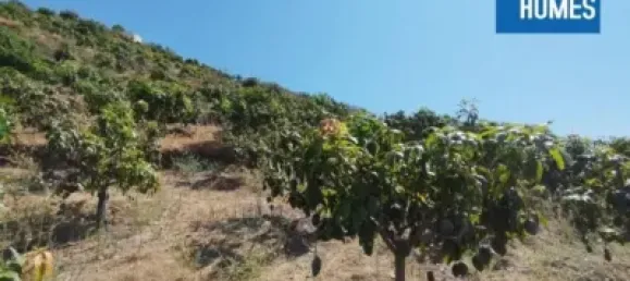 30000m² Land in Sayalonga, Spain No. 140209 7