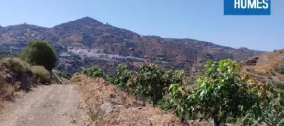 30000m² Land in Sayalonga, Spain No. 140209 2