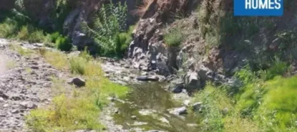 30000m² Land in Sayalonga, Spain No. 140209 12