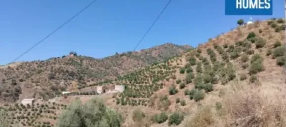 30000m² Land in Sayalonga, Spain No. 140209 10