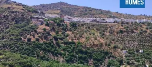 30000m² Land in Sayalonga, Spain No. 140209 3