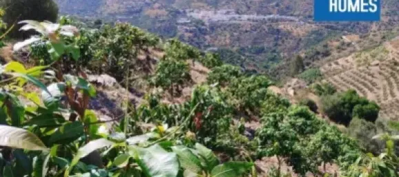 30000m² Land in Sayalonga, Spain No. 140209 19