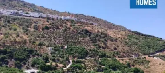 30000m² Land in Sayalonga, Spain No. 140209 15