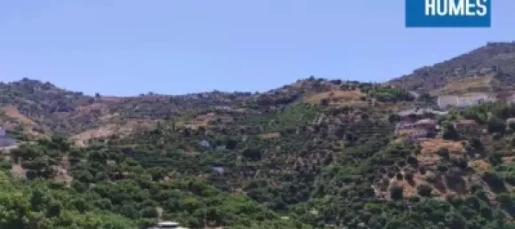 30000m² Land in Sayalonga, Spain No. 140209 4