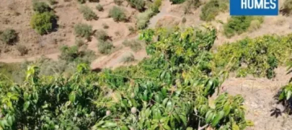 30000m² Land in Sayalonga, Spain No. 140209 22