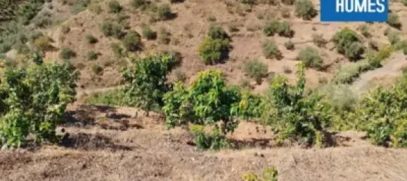 30000m² Land in Sayalonga, Spain No. 140209 5