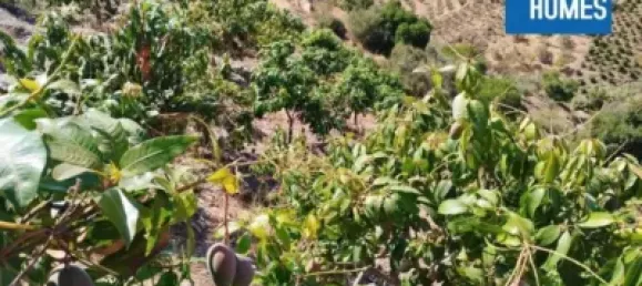 30000m² Land in Sayalonga, Spain No. 140209 23