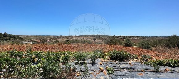 Дом с 4 спальнями в Мешильоейра Гранде, Португалия № 23443 24