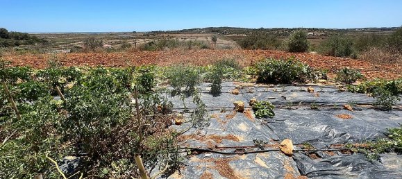 Дом с 4 спальнями в Мешильоейра Гранде, Португалия № 23443 25