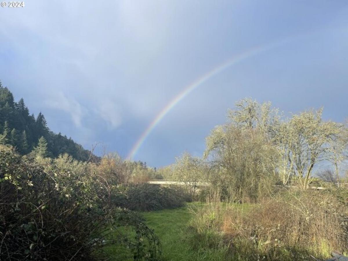 2 bedrooms House in Dillard, USA No. 442051