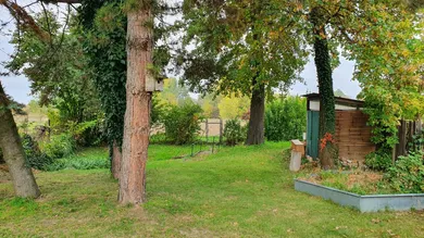  Land in Mistelbach, Austria No. 212033