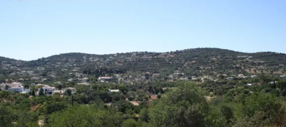 Grundstück in Sao Bras de Alportel, Portugal 917m², Nr. 62592 4