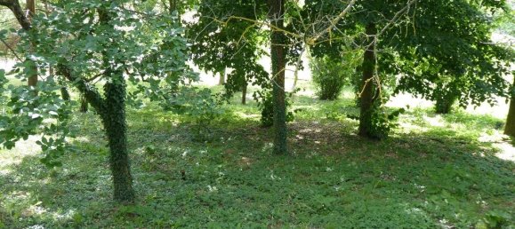 6 bedrooms House in Acqui Terme, Italy No. 128263 42