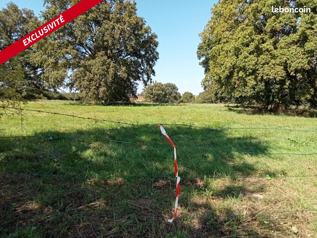 Земельный участок 2875м² в Аюйе, Франция № 99904